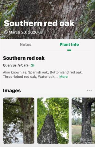 Tbd Red Bird Road Spruce Pine NC 28777