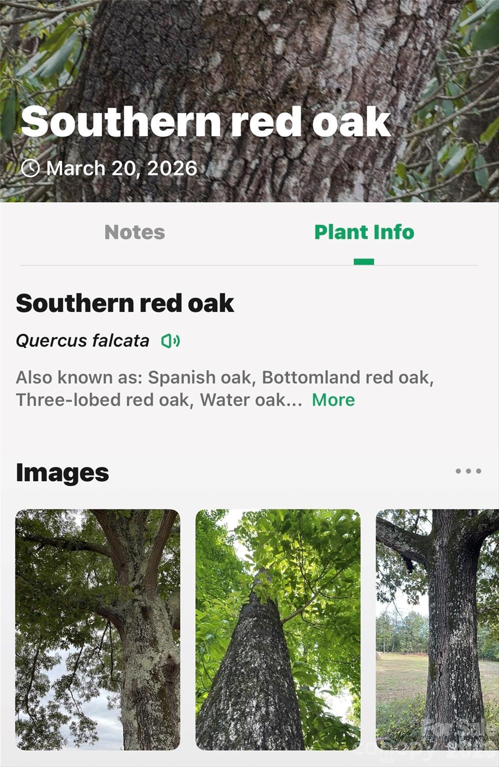 Tbd Red Bird Road Spruce Pine NC 28777