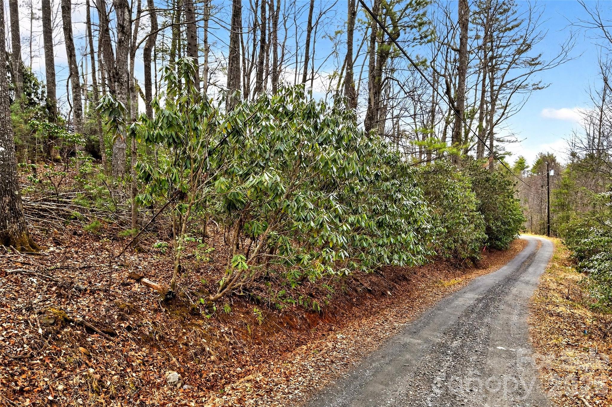 Tbd Red Bird Road Spruce Pine NC 28777
