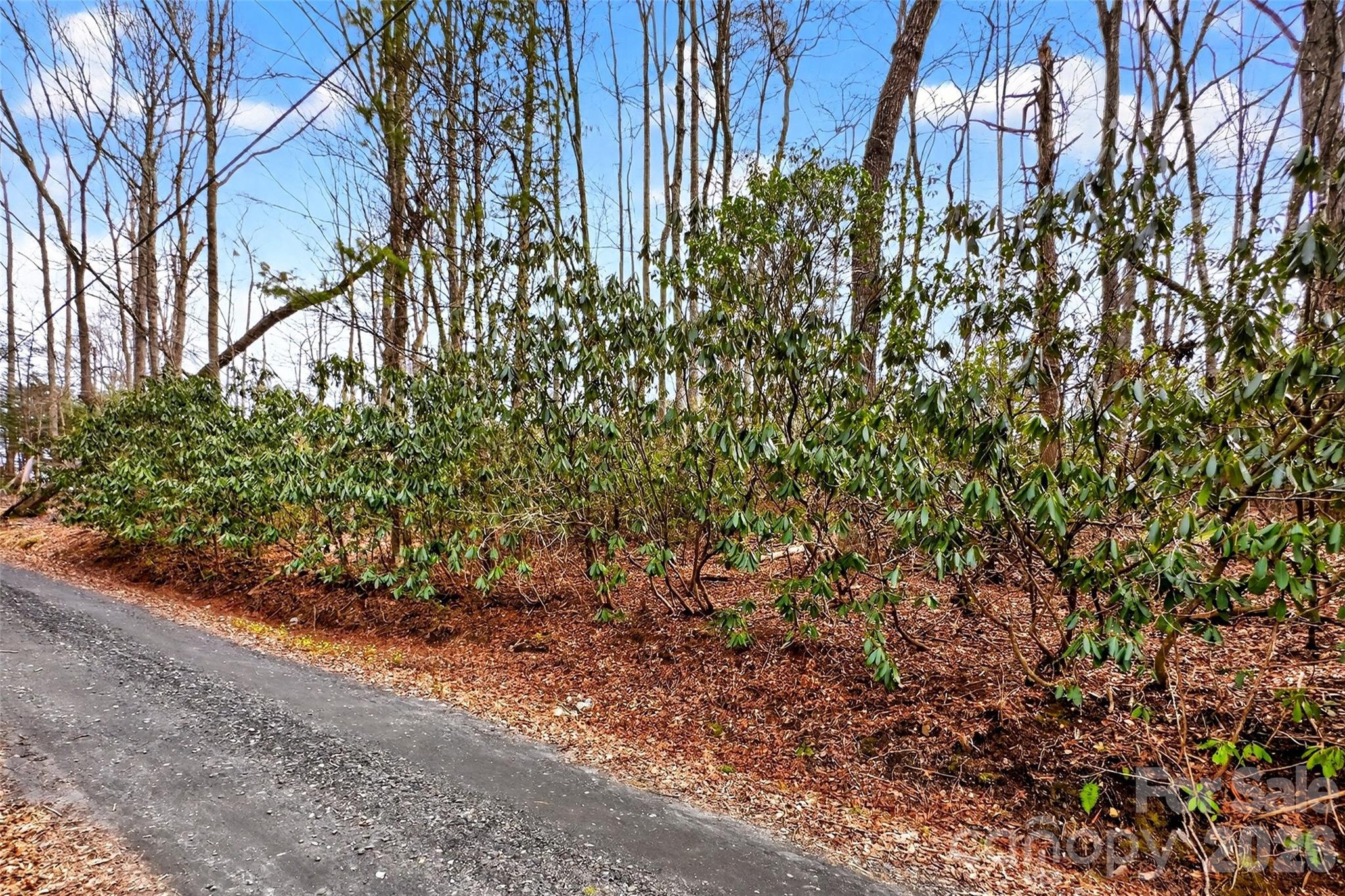 Tbd Red Bird Road Spruce Pine NC 28777