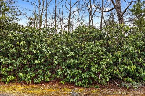 Tbd Red Bird Road Spruce Pine NC 28777