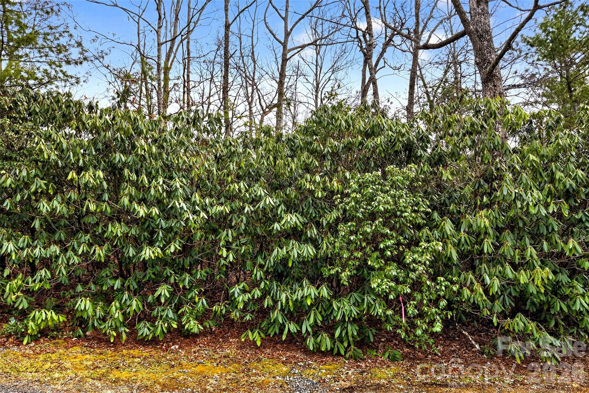 Tbd Red Bird Road Spruce Pine NC 28777