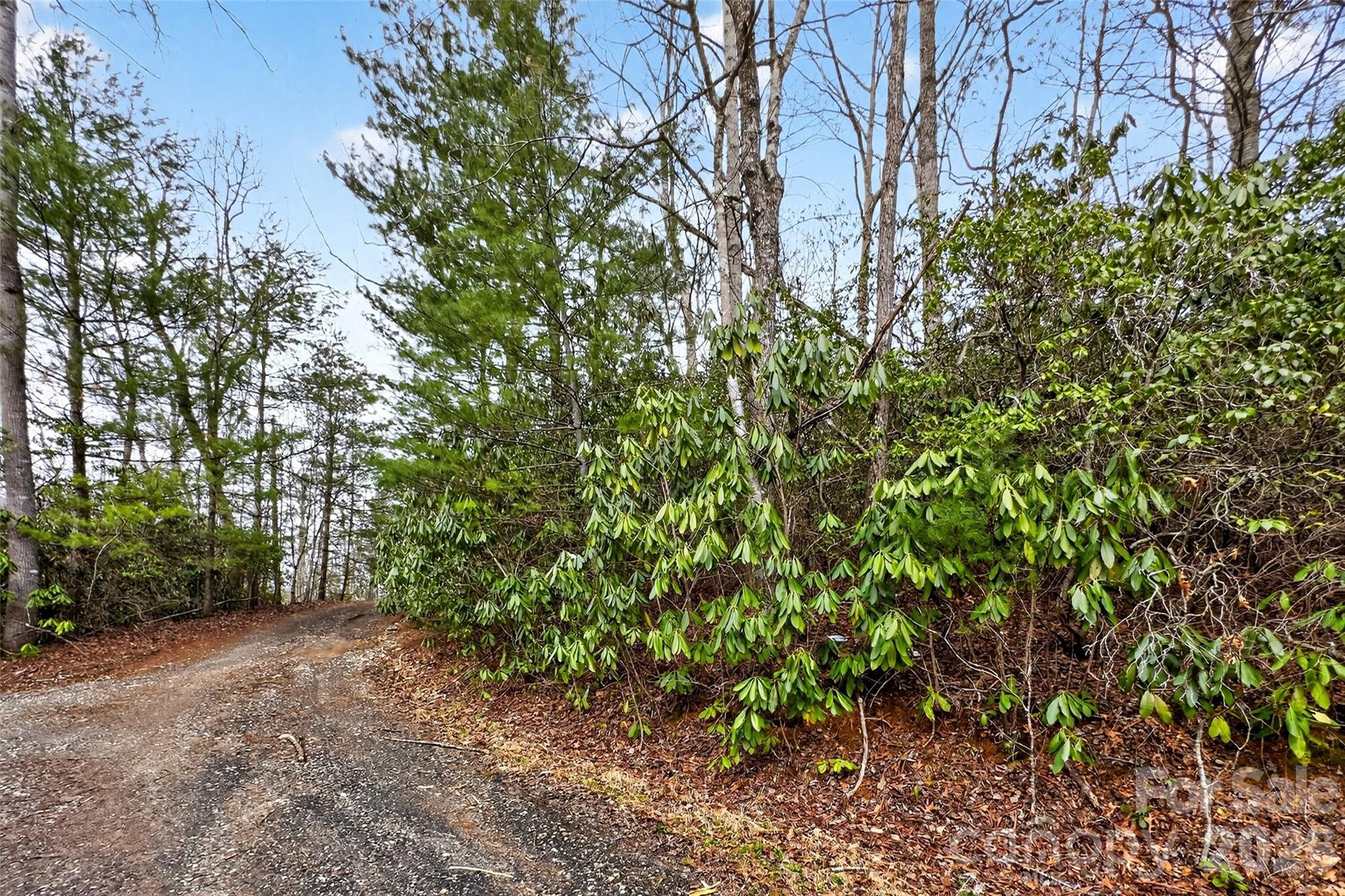 Tbd Red Bird Road Spruce Pine NC 28777