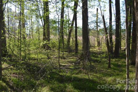 00 Peter Hawk Creek Road Jonesville SC 29353