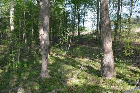 00 Peter Hawk Creek Road Jonesville SC 29353