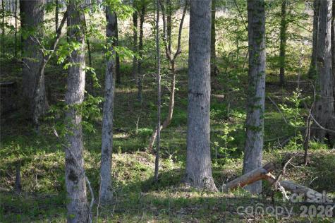 00 Peter Hawk Creek Road Jonesville SC 29353