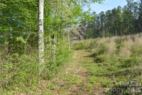 00 Peter Hawk Creek Road Jonesville SC 29353