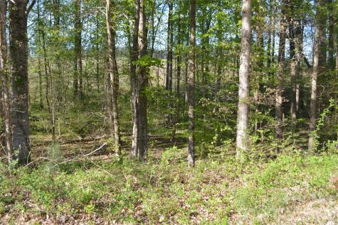 00 Peter Hawk Creek Road Jonesville SC 29353