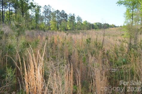 00 Peter Hawk Creek Road Jonesville SC 29353