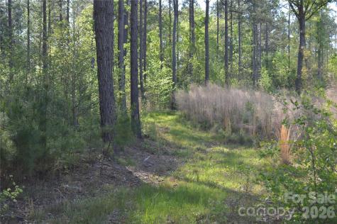 00 Peter Hawk Creek Road Jonesville SC 29353