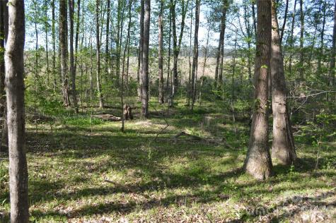 00 Peter Hawk Creek Road Jonesville SC 29353
