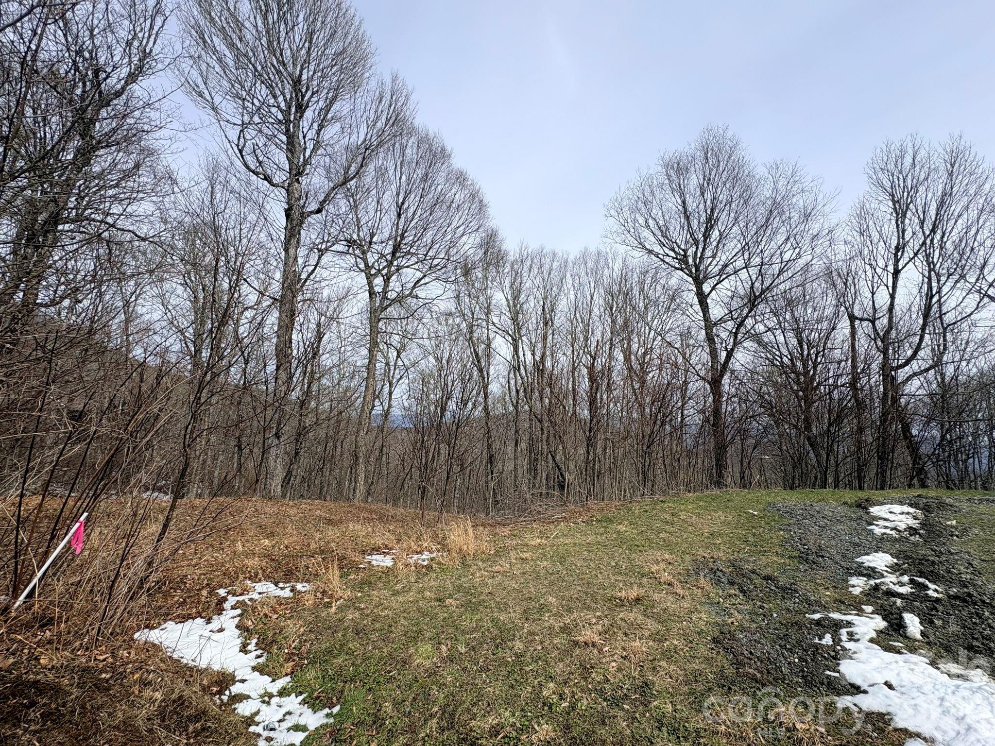 Lot 5 Chappell Farm North N Banner Elk NC 28604