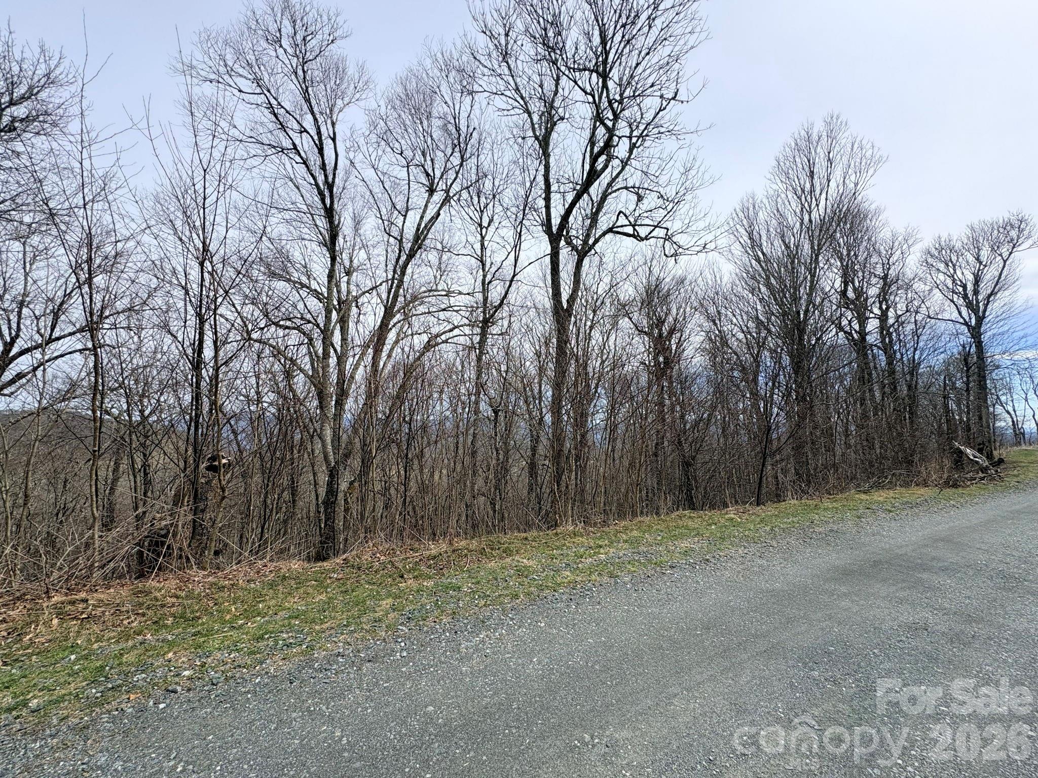 Lot 5 Chappell Farm North N Banner Elk NC 28604