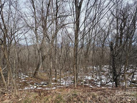 Lot 5 Chappell Farm North N Banner Elk NC 28604