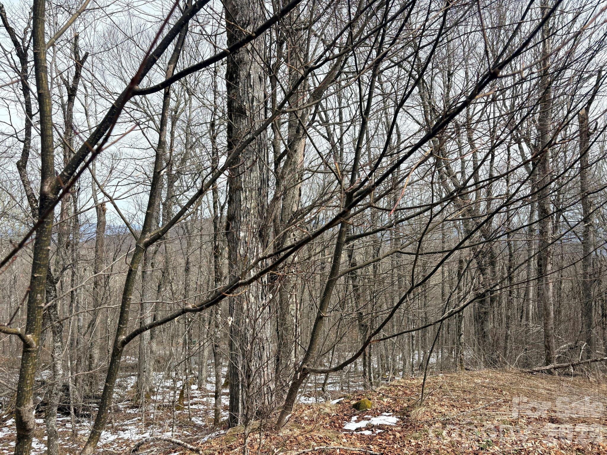 Lot 5 Chappell Farm North N Banner Elk NC 28604