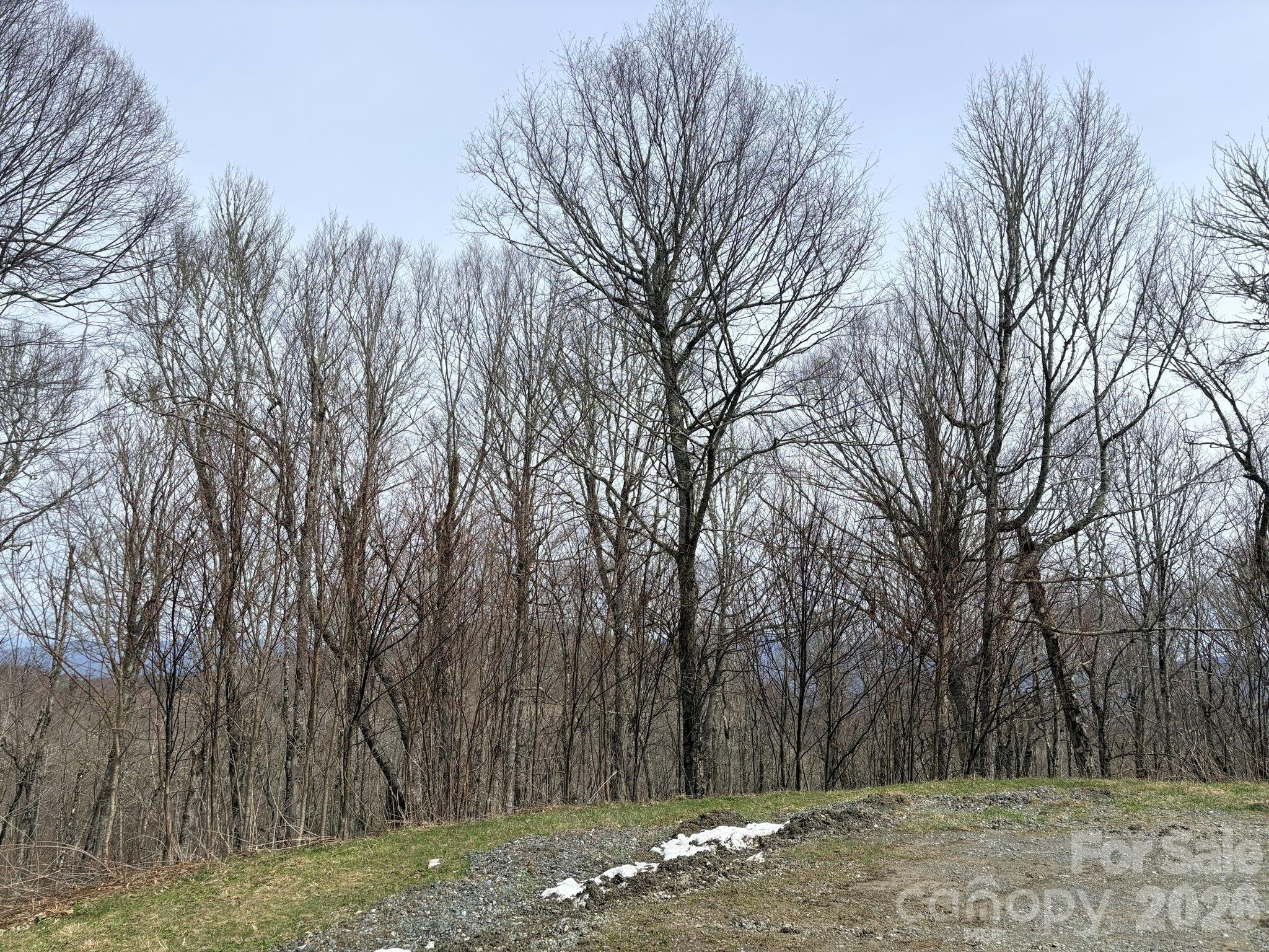 Lot 5 Chappell Farm North N Banner Elk NC 28604