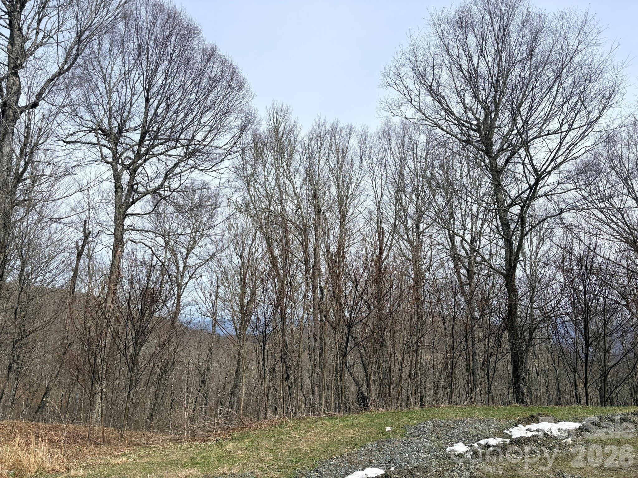 Lot 5 Chappell Farm North N Banner Elk NC 28604