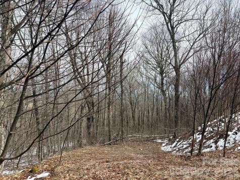 Lot 5 Chappell Farm North N Banner Elk NC 28604