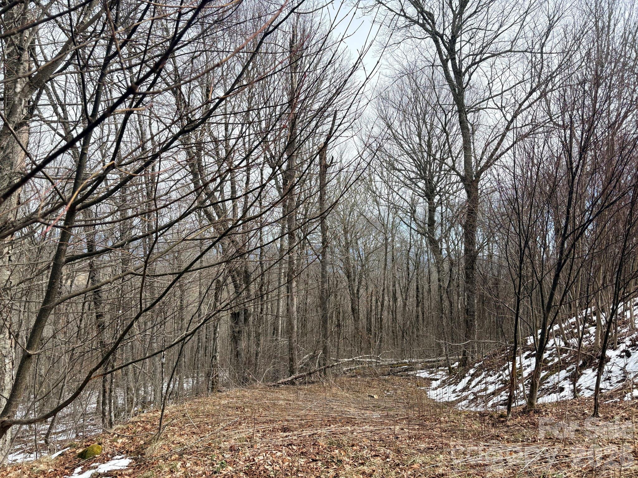Lot 5 Chappell Farm North N Banner Elk NC 28604