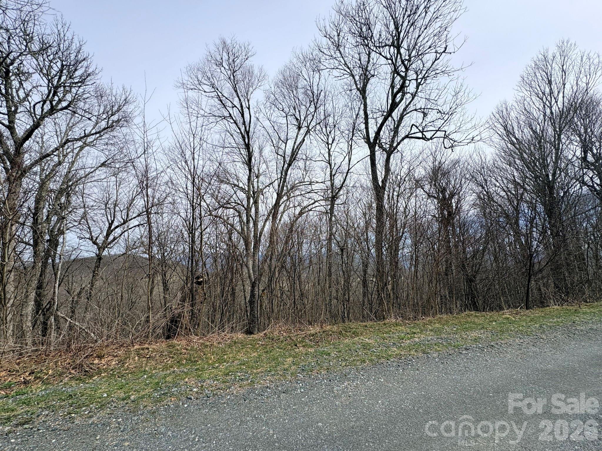 Lot 5 Chappell Farm North N Banner Elk NC 28604