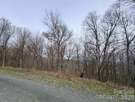 Lot 5 Chappell Farm North N Banner Elk NC 28604