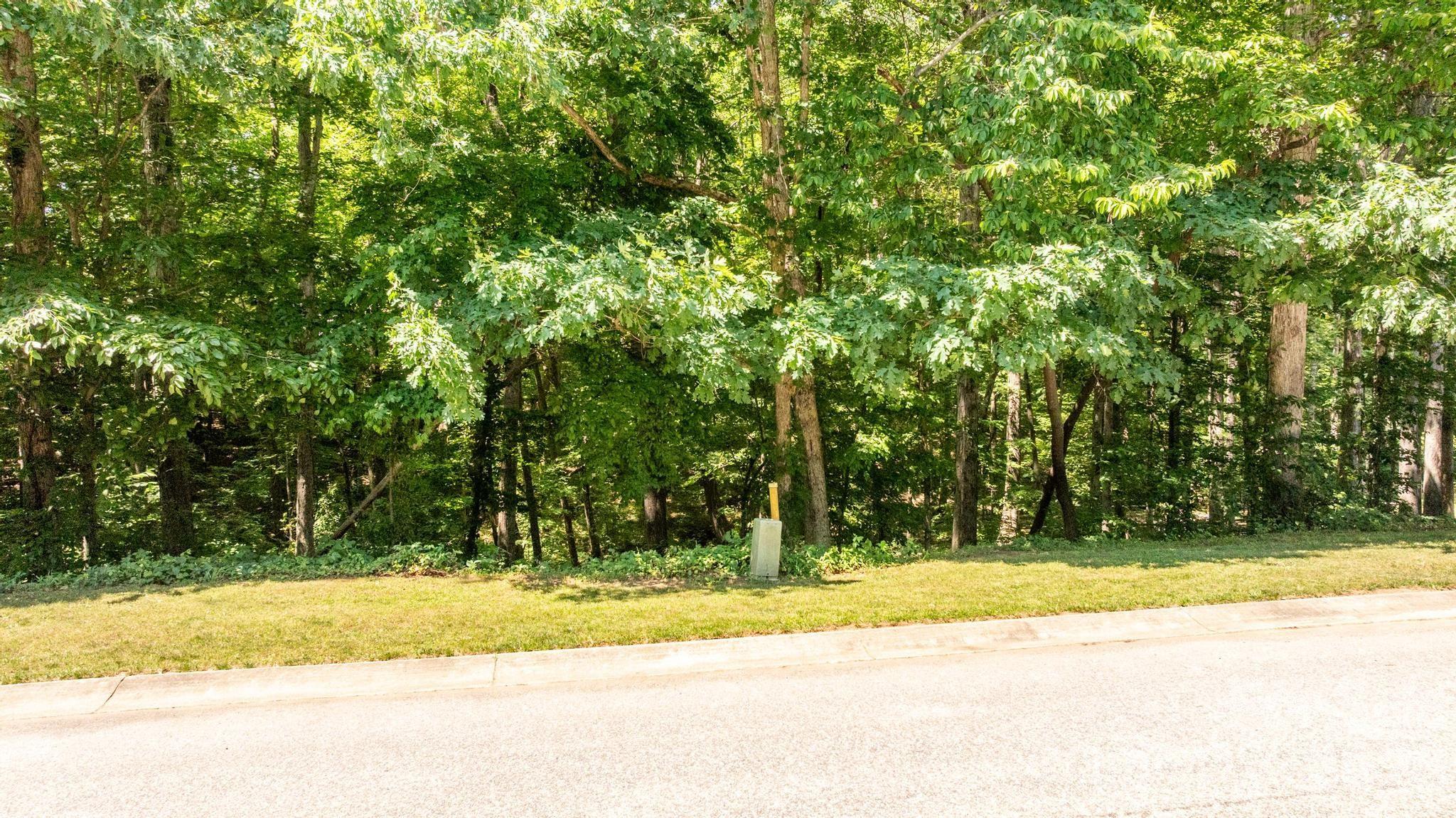 163 Shenandoah Loop Troutman NC 28166