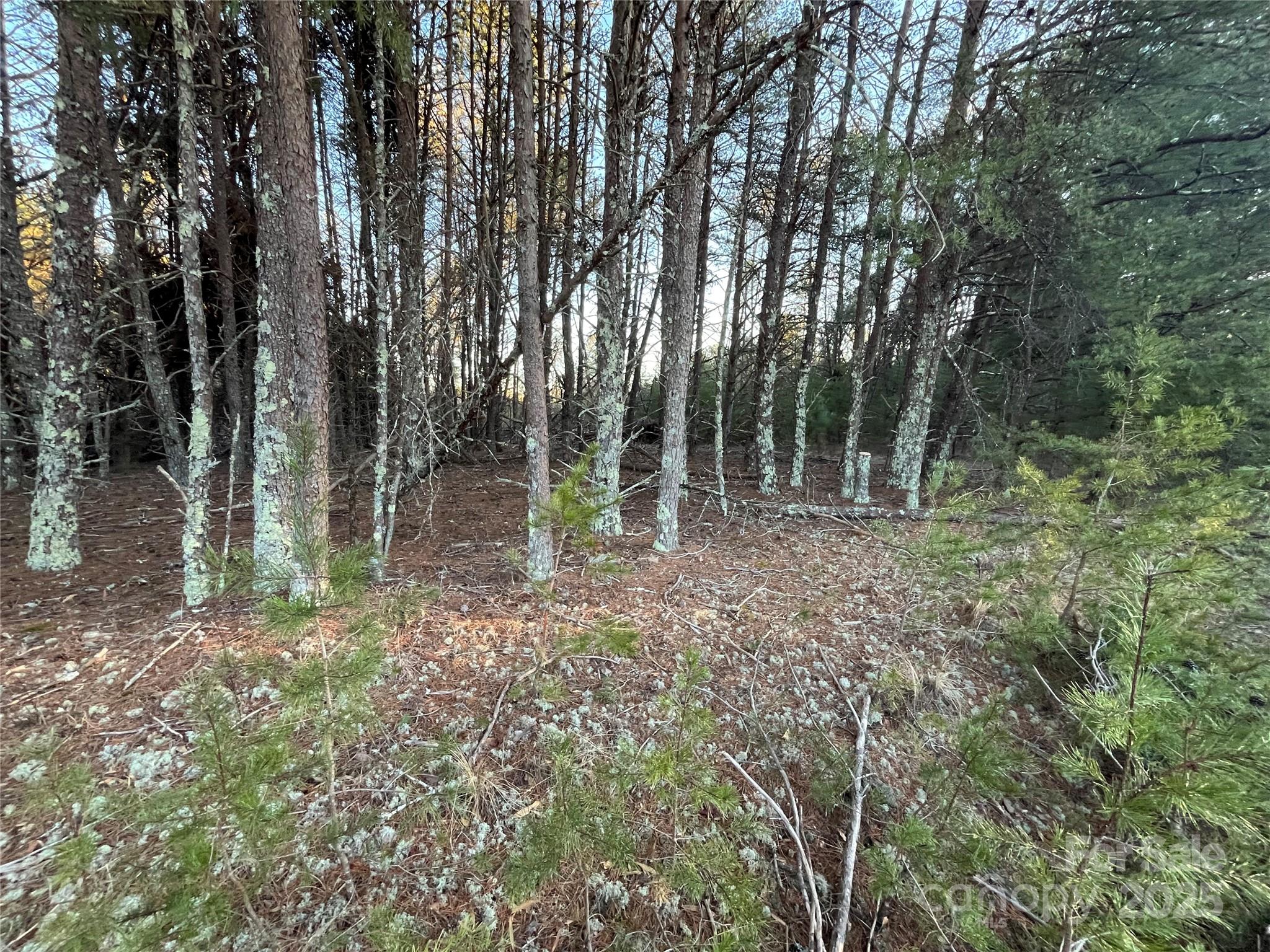 2370 Big Island Road Rutherfordton NC 28139