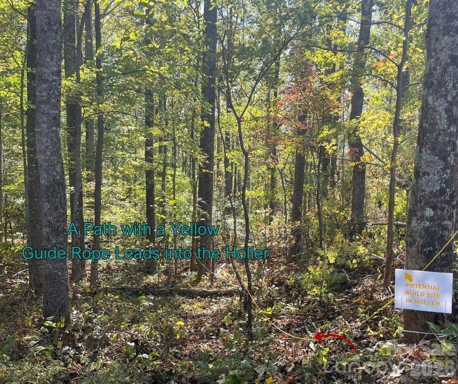 125 Gavin Glen Road Weaverville NC 28787