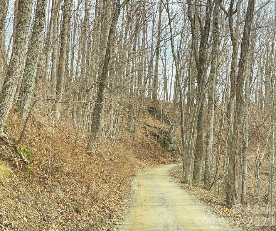 125 Gavin Glen Road Weaverville NC 28787
