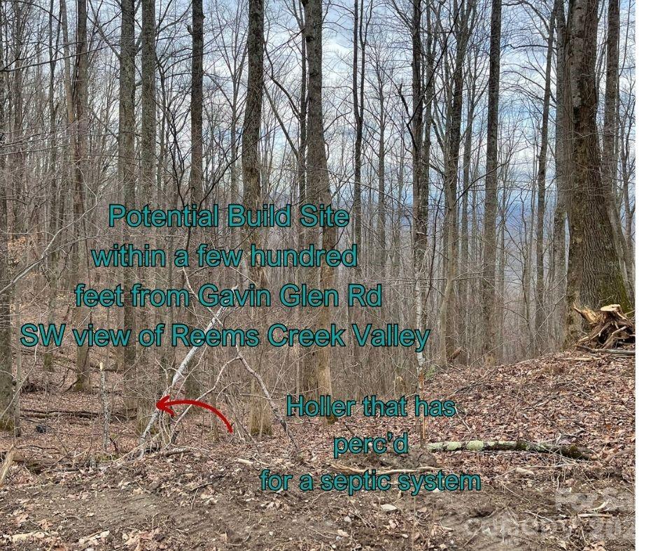 125 Gavin Glen Road Weaverville NC 28787