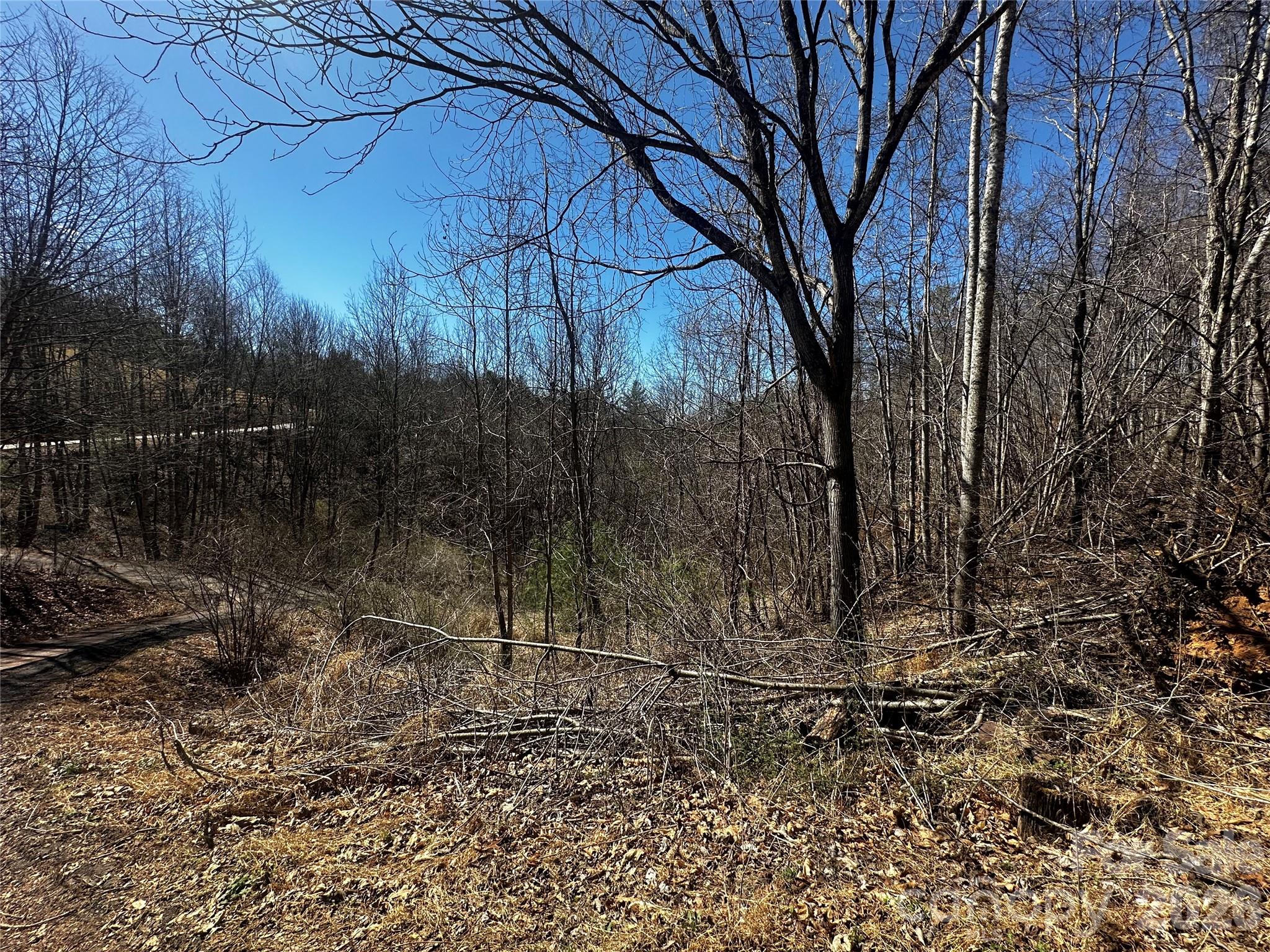 00 Grace Ridge Road Bakersville NC 28705