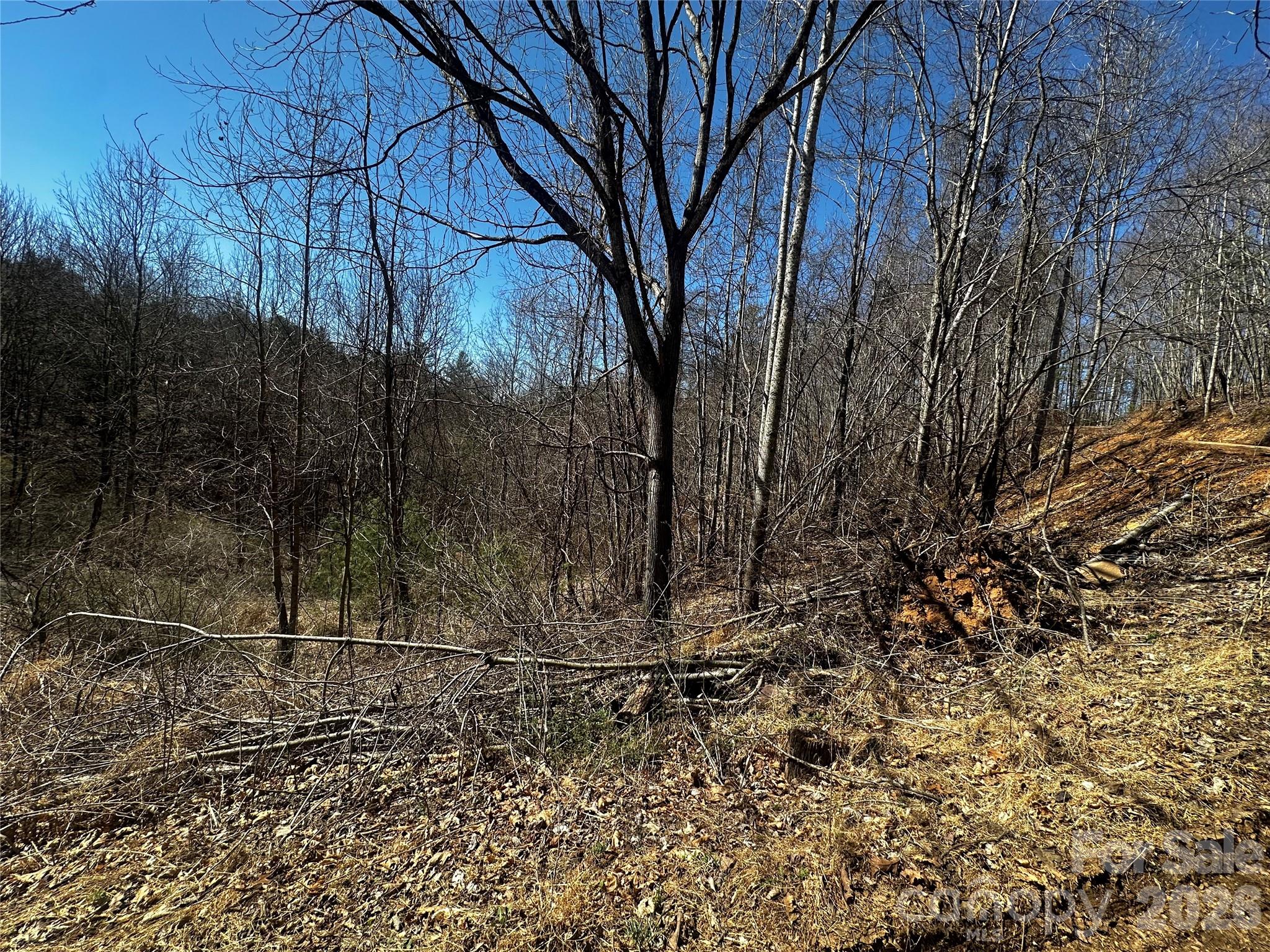 00 Grace Ridge Road Bakersville NC 28705