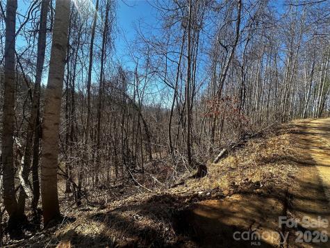 00 Grace Ridge Road Bakersville NC 28705