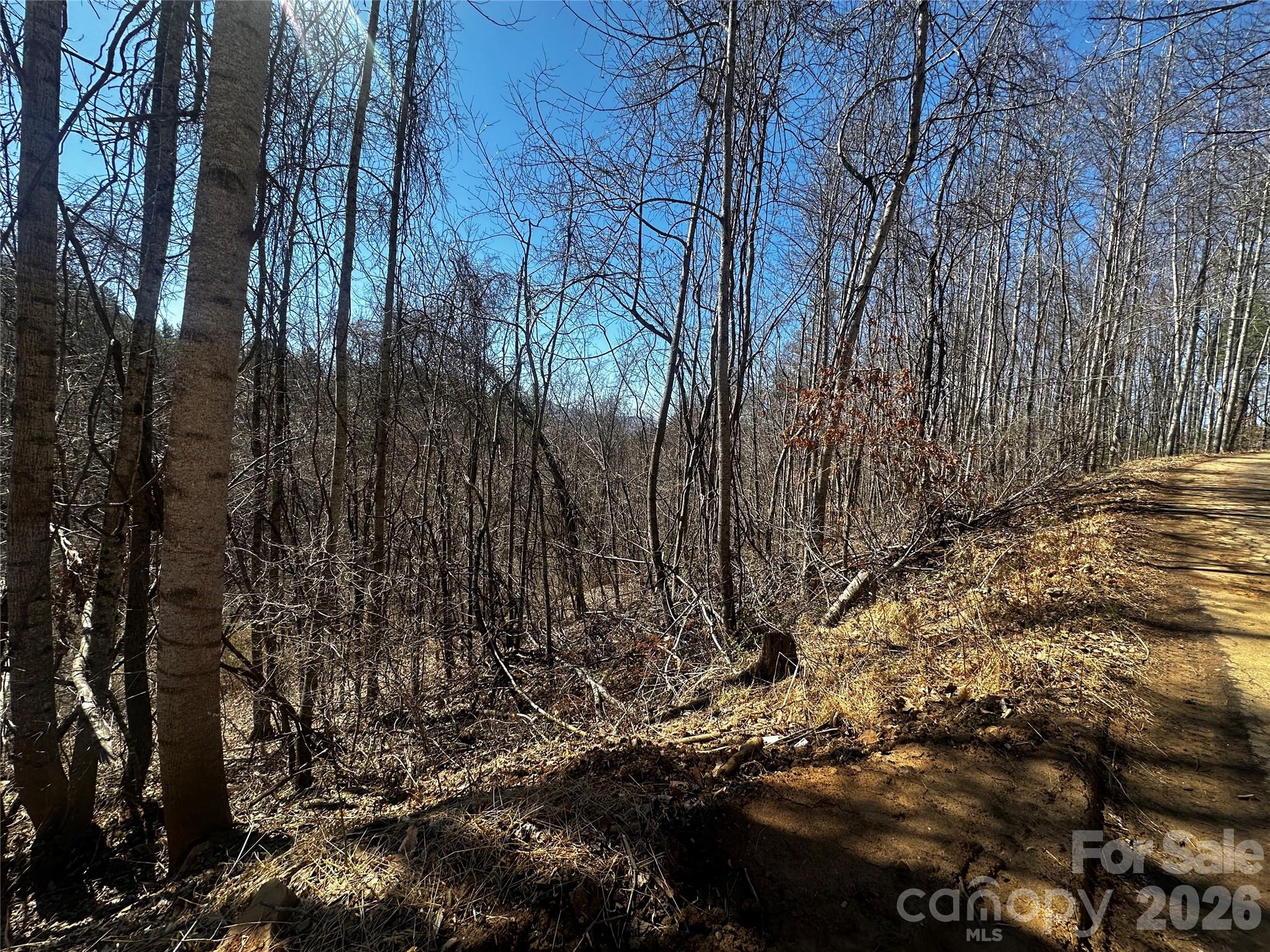 00 Grace Ridge Road Bakersville NC 28705