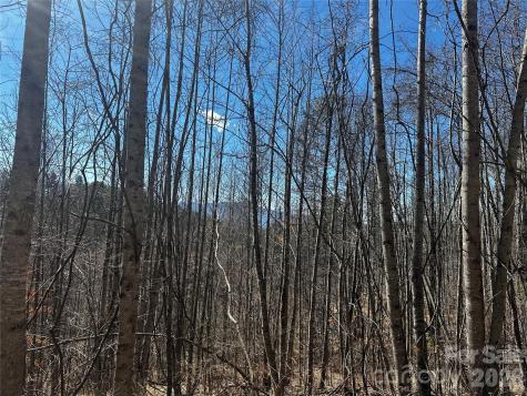 00 Grace Ridge Road Bakersville NC 28705