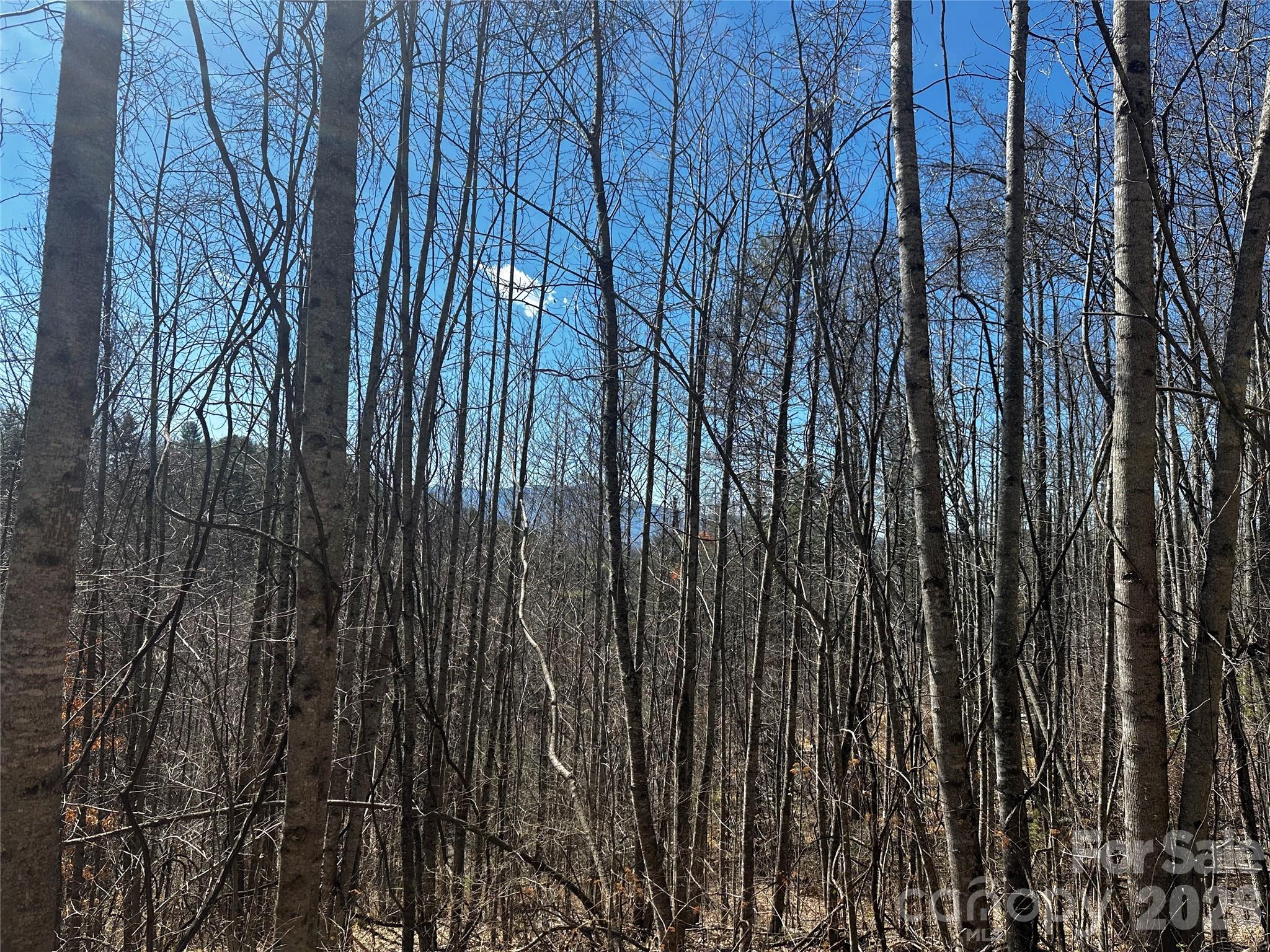 00 Grace Ridge Road Bakersville NC 28705