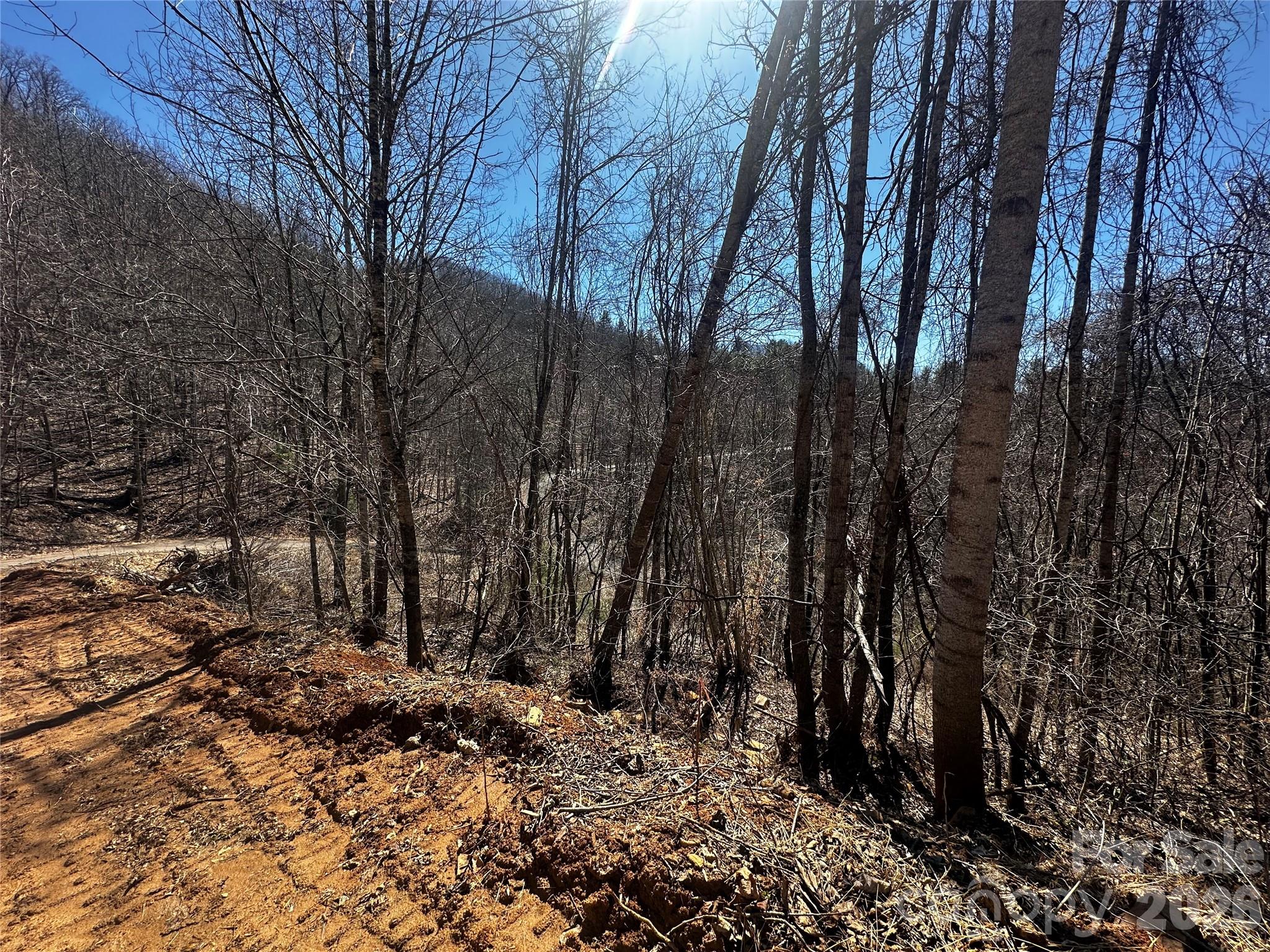 00 Grace Ridge Road Bakersville NC 28705