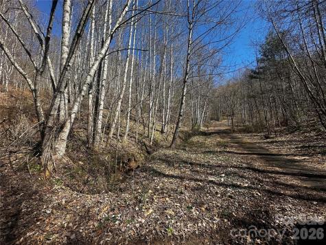00 Grace Ridge Road Bakersville NC 28705