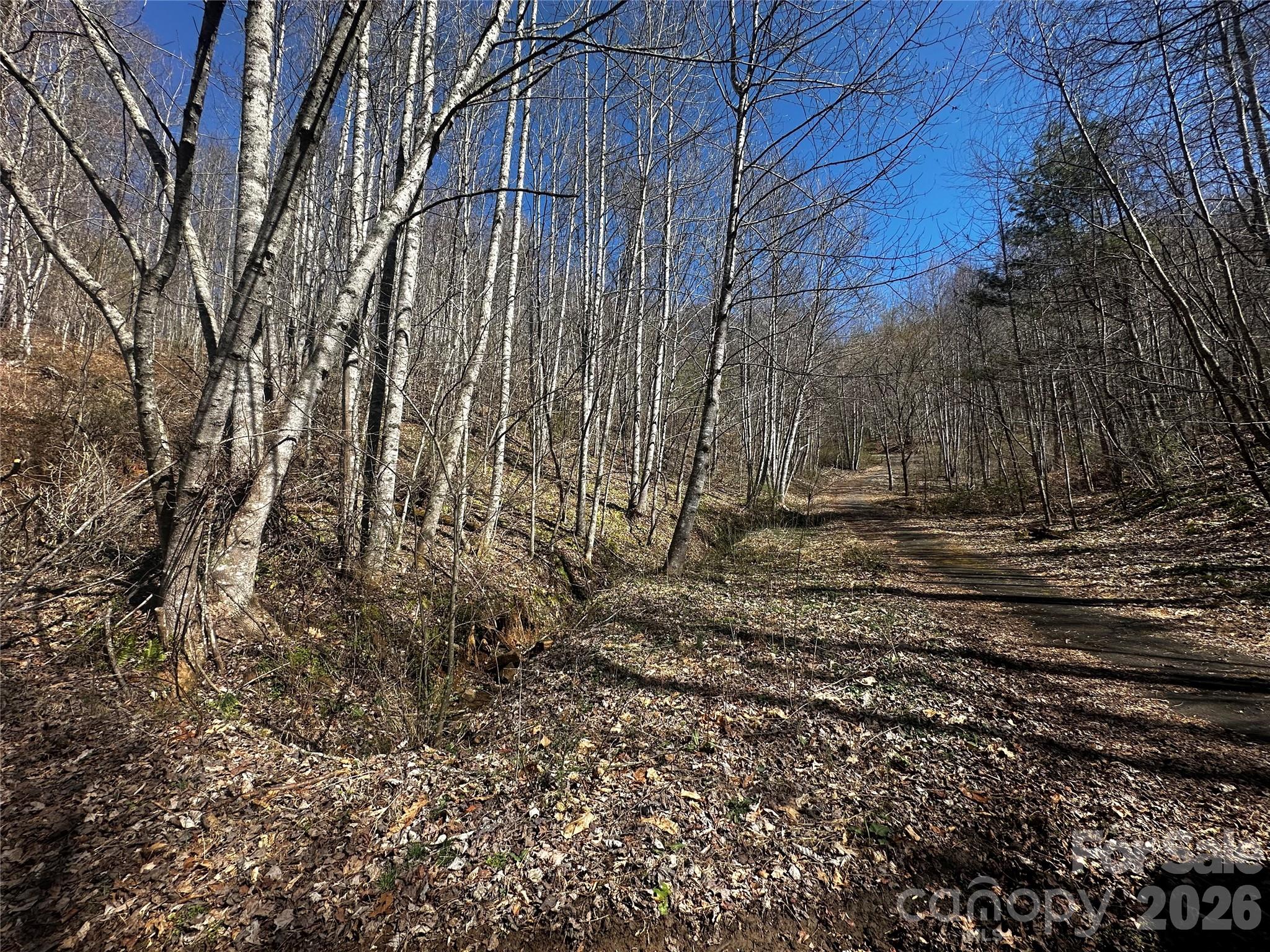 00 Grace Ridge Road Bakersville NC 28705