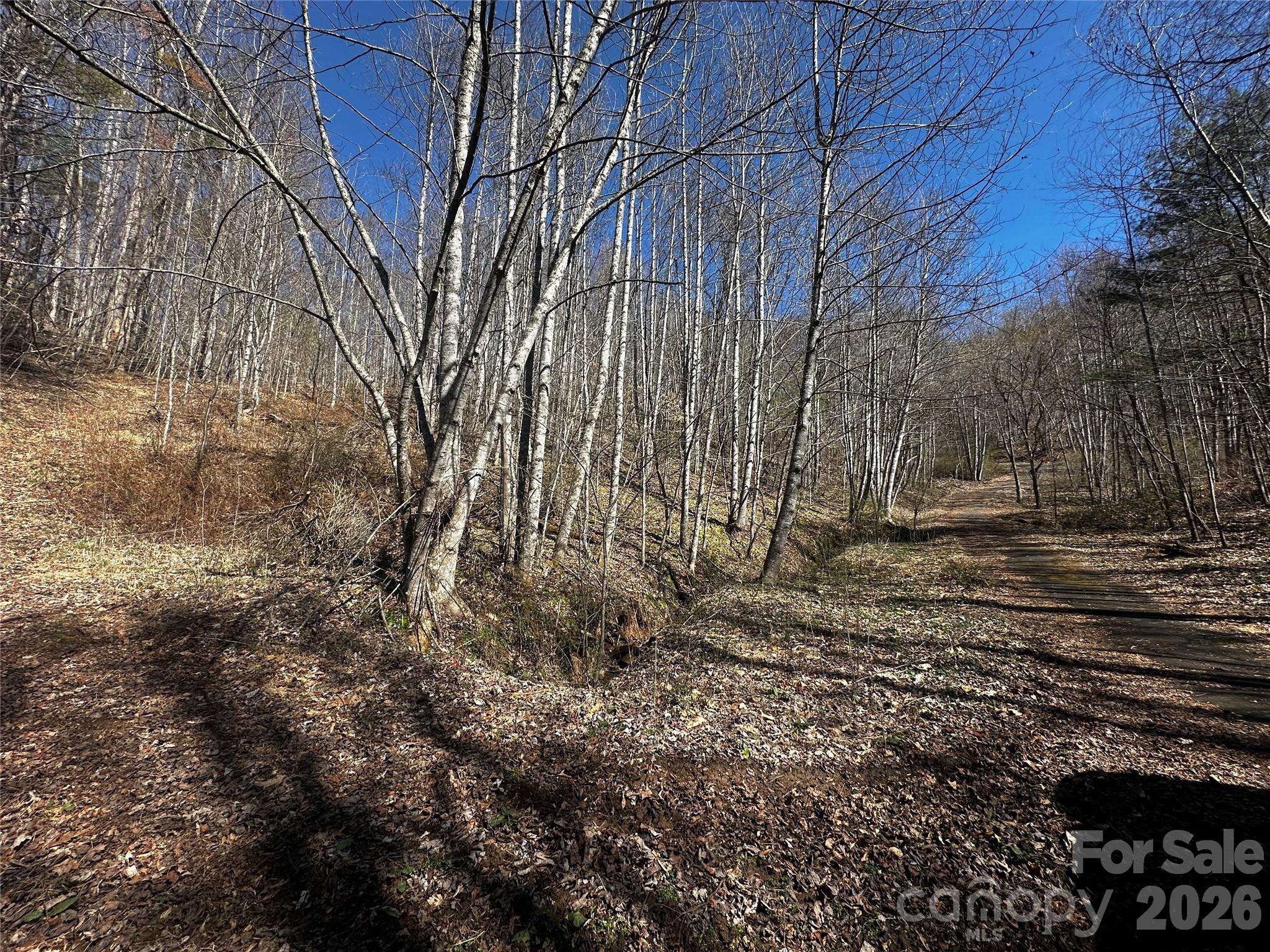 00 Grace Ridge Road Bakersville NC 28705