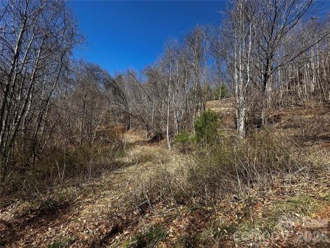 00 Grace Ridge Road Bakersville NC 28705