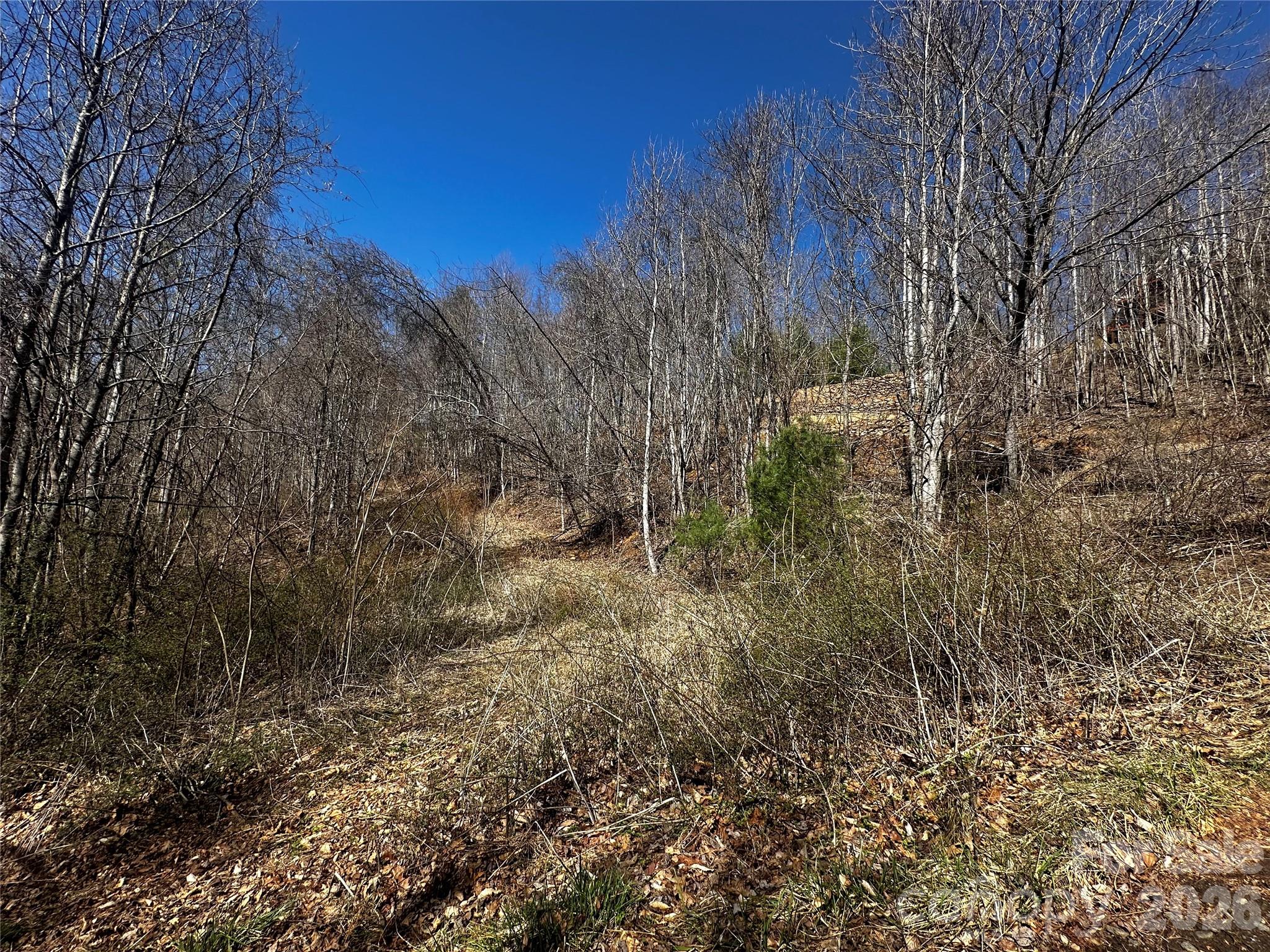00 Grace Ridge Road Bakersville NC 28705