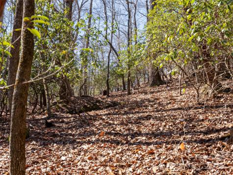 27 Alpen Rose Way Mills River NC 28759