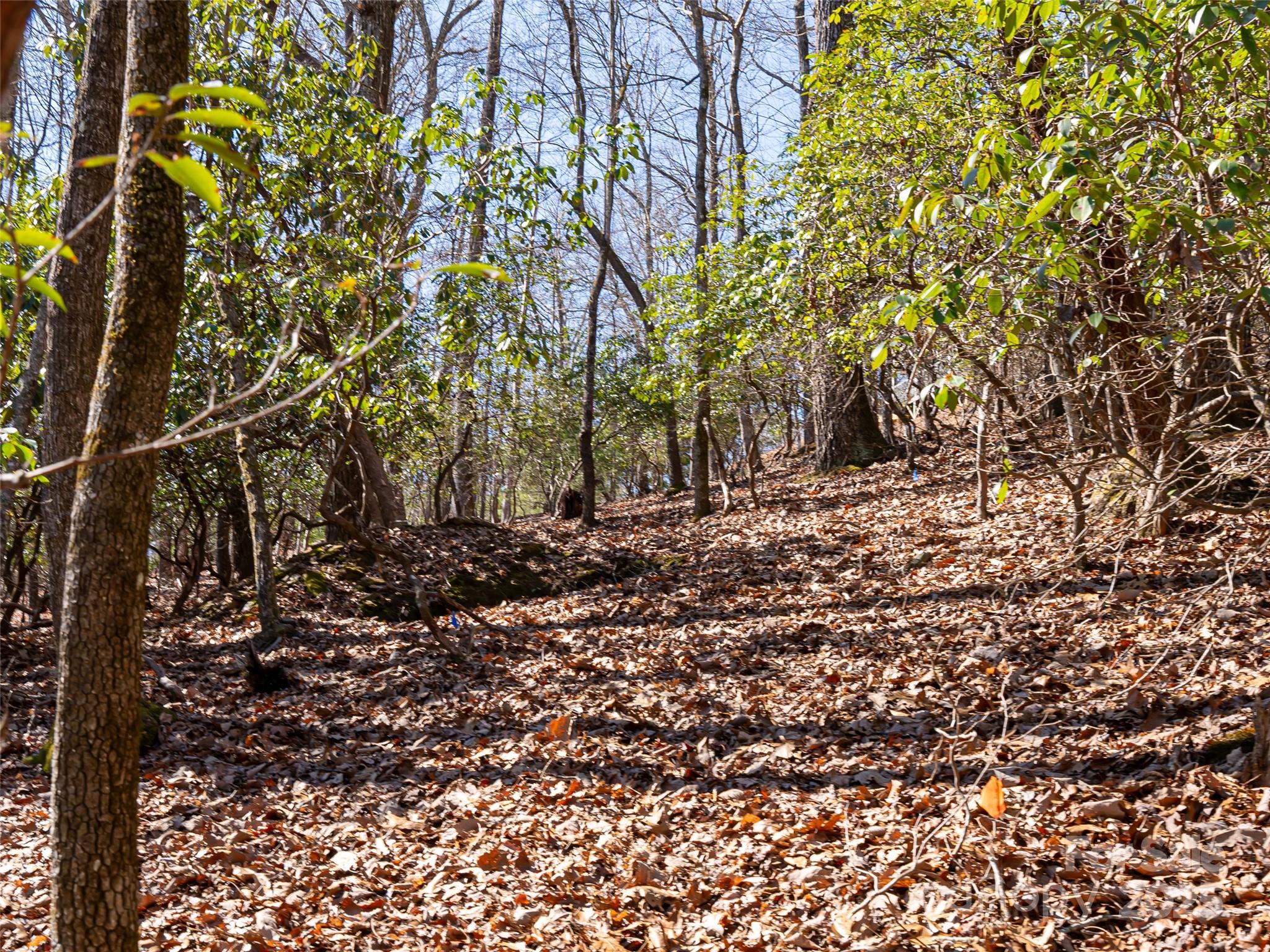 27 Alpen Rose Way Mills River NC 28759