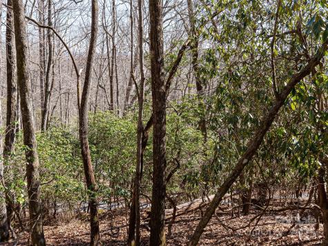 27 Alpen Rose Way Mills River NC 28759