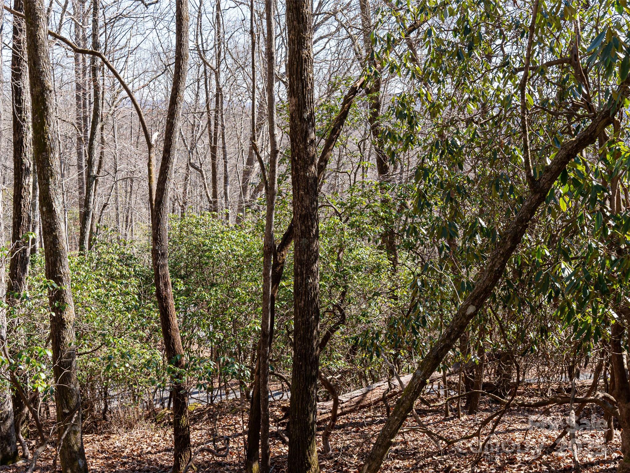 27 Alpen Rose Way Mills River NC 28759