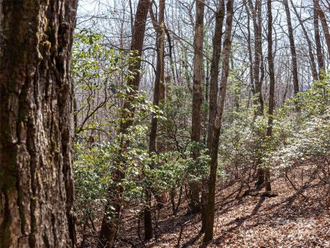 27 Alpen Rose Way Mills River NC 28759