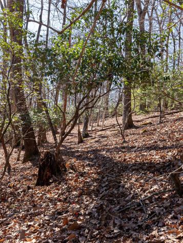 27 Alpen Rose Way Mills River NC 28759