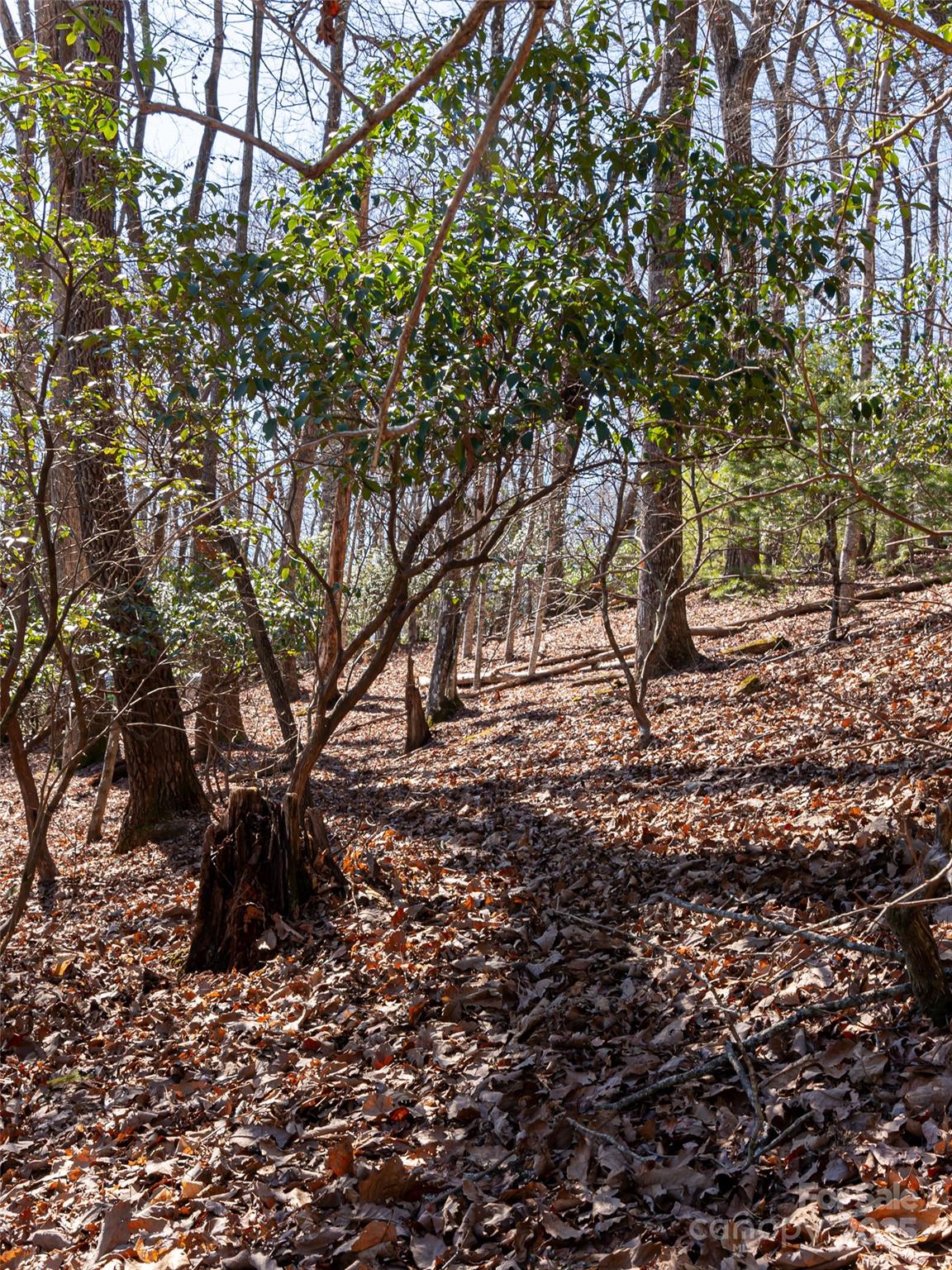27 Alpen Rose Way Mills River NC 28759