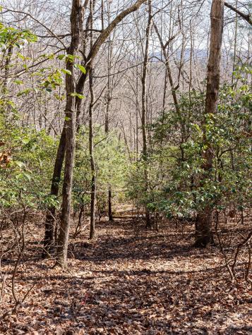 27 Alpen Rose Way Mills River NC 28759